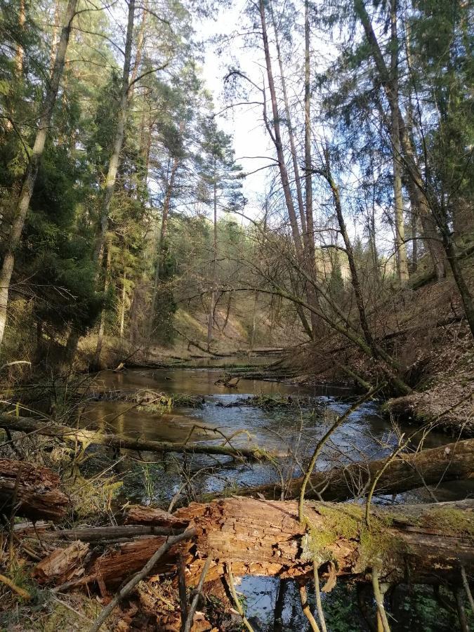 Wodamoja - Apartamenty Nad Jeziorem Stawiguda Luaran gambar
