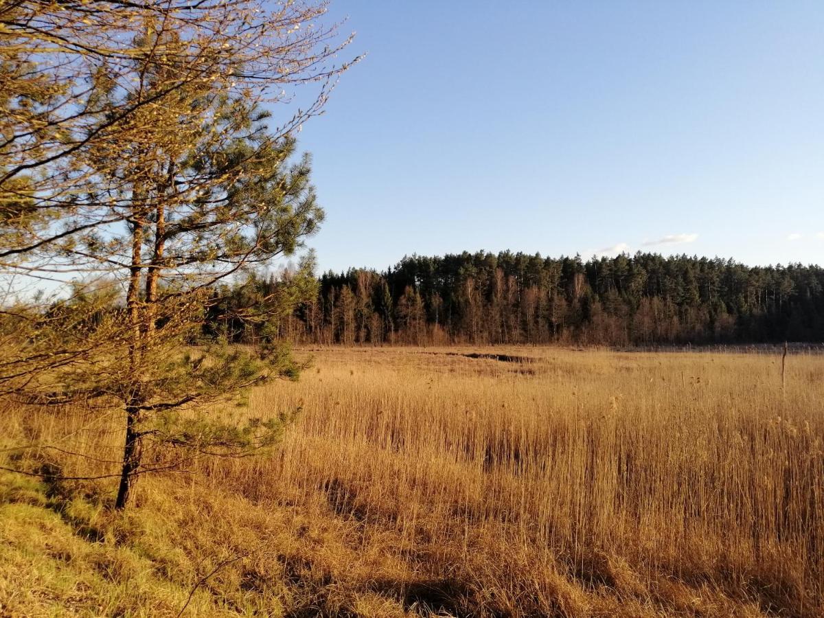 Wodamoja - Apartamenty Nad Jeziorem Stawiguda Luaran gambar