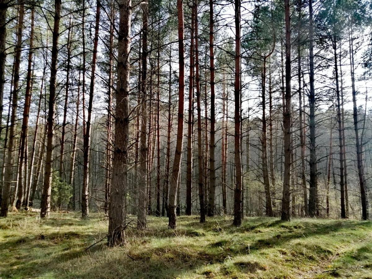 Wodamoja - Apartamenty Nad Jeziorem Stawiguda Luaran gambar