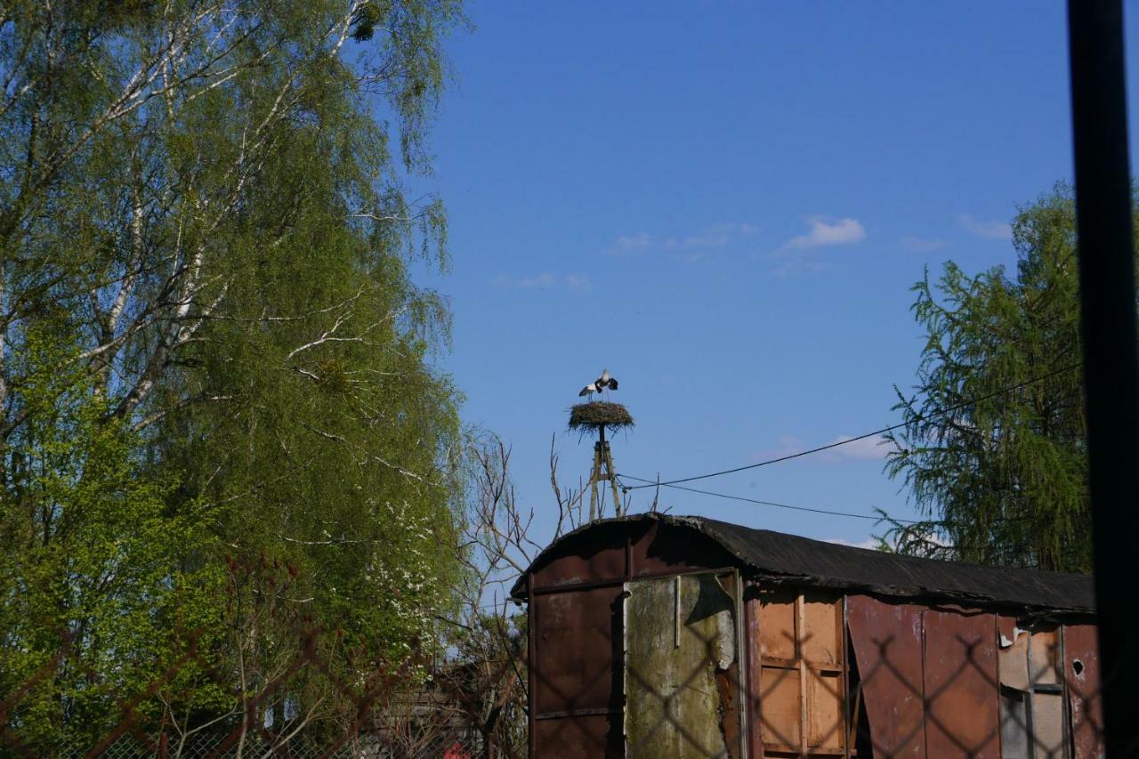 Wodamoja - Apartamenty Nad Jeziorem Stawiguda Luaran gambar